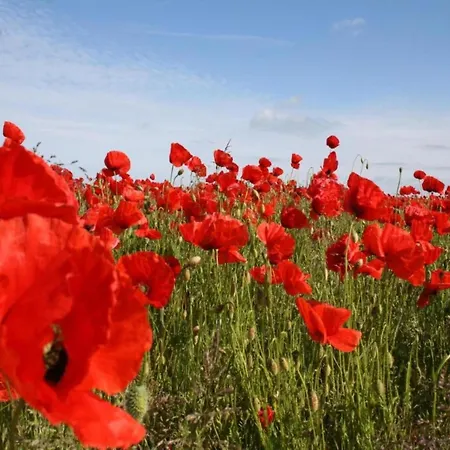 Botel Coastal Comfort With Terrace Ribnitz-Damgarten