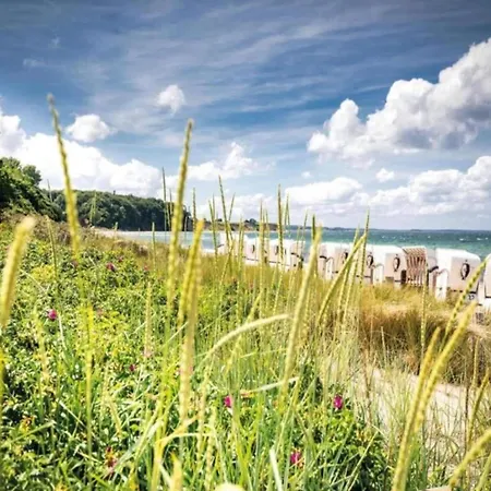 Botel Coastal Comfort With Terrace *