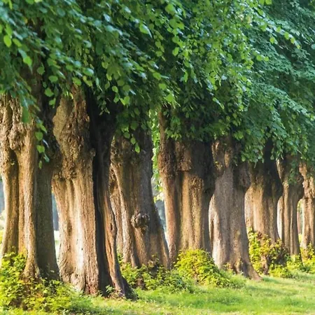 Coastal Comfort With Terrace *